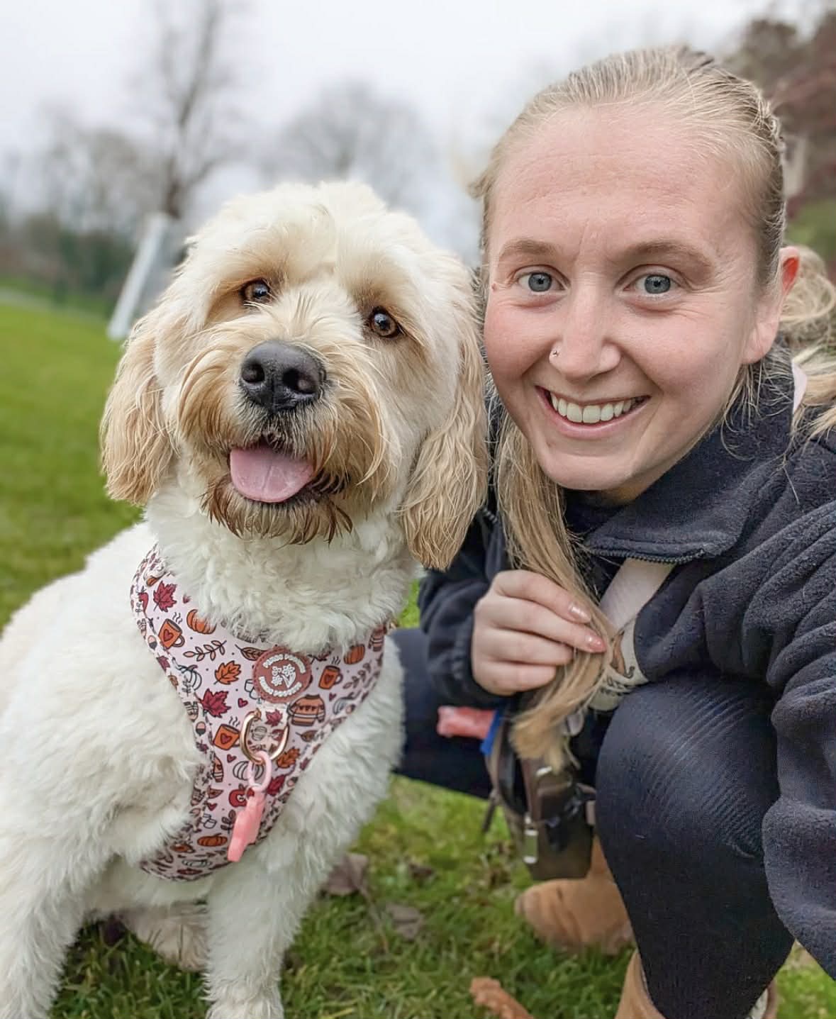 Pawventures Hero Image